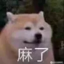 whenthefoodbarks
