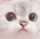 weh