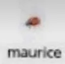 maurice