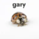 gary