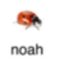 noah
