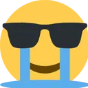 cryingSunglasses