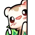 FerretPeek