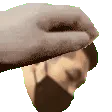 petMichael