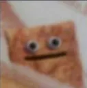 WTF