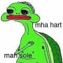mahsole