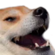 hehehe