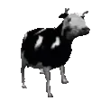 cowPls