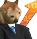 stonkis