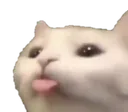 imp_cat_tongue Discord Emoji