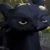 toothlessugh