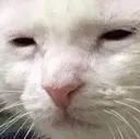 Frank
