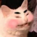 drunkkitty drunkkitty