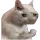 SadCat