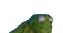 KermitShame Discord emoji