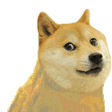 doge