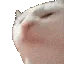 CatJamR CatJamR