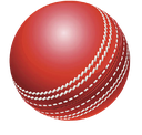 cricketball Discord emoji