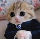 fino_XP Discord emoji