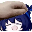 myes_pet_seele2