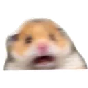 scared Discord Emoji