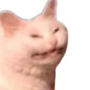 smirking_cat Discord Emoji