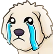 cheeseSad cheeseSad