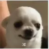 peggosad