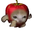 Run