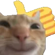 pricasok