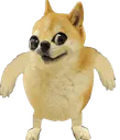 dogeknuckles