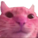 john john