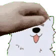 patpatpat