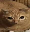 fatffrick Discord emoji