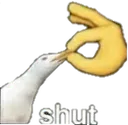 CC_Shut CC_Shut