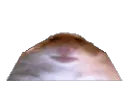 HamBruh