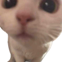 hihihi Discord emoji
