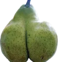 Juicy Juicy