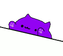 BONGOCAT