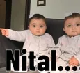 zshiro_nital
