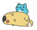 UDUcapooboing
