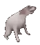 Matty Matty