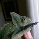 chameleon_gun