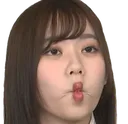 sayurin8