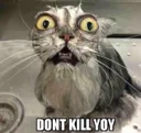 dontkillyoy