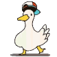 duck_dance