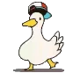 duck_dance