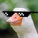 dank dank