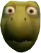 Verne