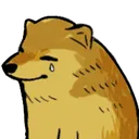 CF1_CheemsTear CF1_CheemsTear